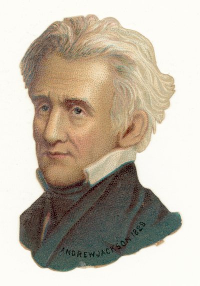 Andrew Jackson - American School