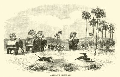 Chasse à l
