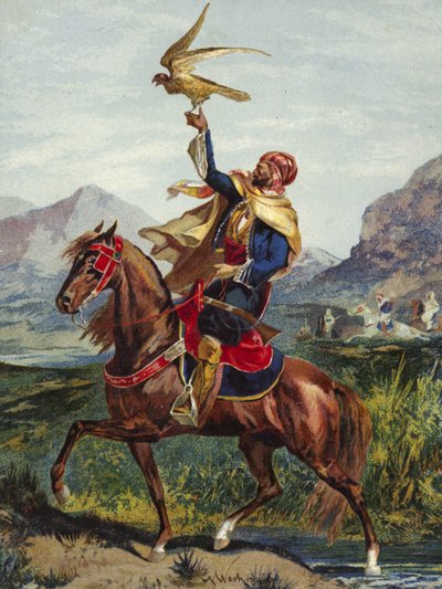 Cavalier arabe, avec faucon - American School
