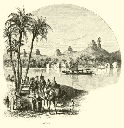 Assouan - American School