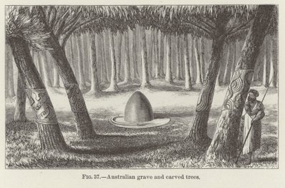 Tombe australienne et arbres sculptés - American School