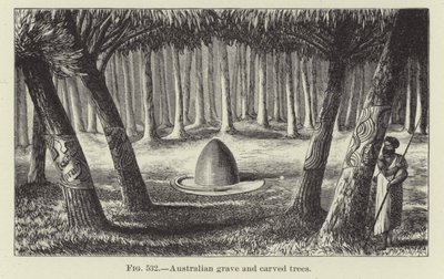 Tombe australienne et arbres sculptés - American School