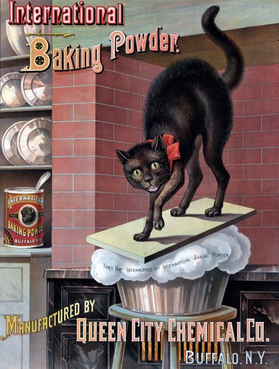 Chat noir réveillé par la pâte à pain qui monte, vers 1885 - American School