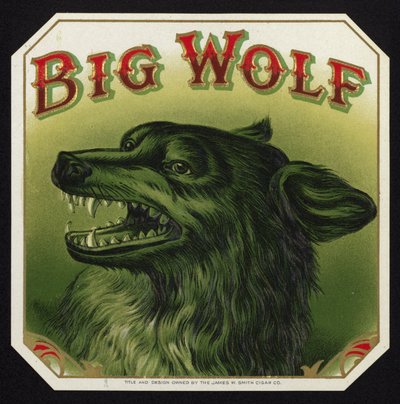Loup noir montrant les dents - American School