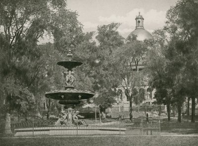 Boston Common - American School