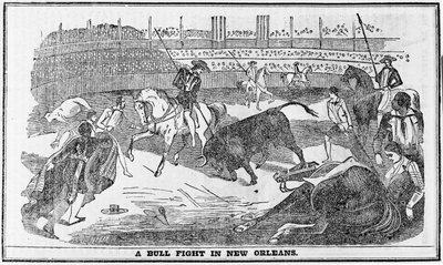 Combat de taureaux à la Nouvelle-Orléans, tiré de l