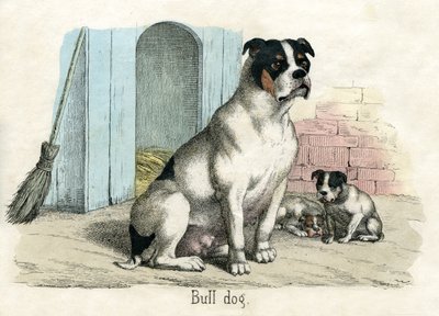 Bouledogue, de L