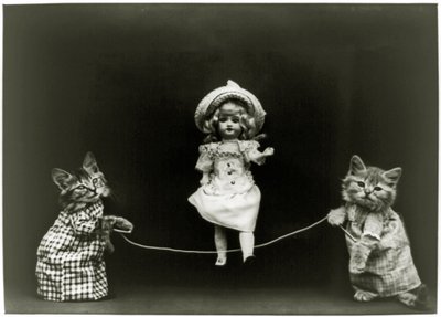 Curiosité féline, 1891 - American School