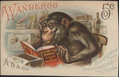 Charles Darwin, Théorie du développement (c