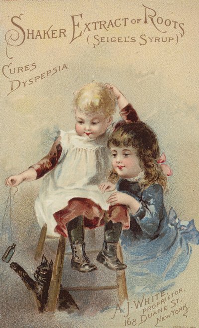 Enfants taquinant un chat - American School