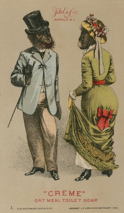 Chimpanzés en vêtements à la mode - American School
