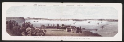 Ville de New-York, Brooklyn, Jersey City et Station de Quarantaine sur Staten Island, vers 1850 (lithographie en couleur) - American School