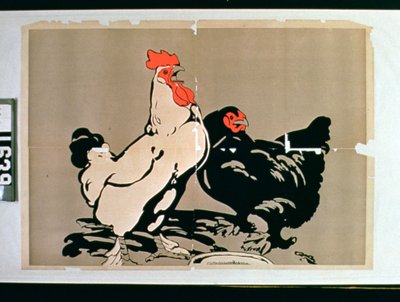 Coq et Poule - American School