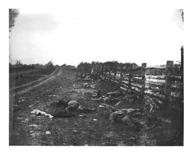 Morts confédérés le long du côté ouest de Hagerstown Pike, bataille d