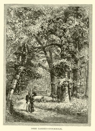 Jardin des Cerfs, Stockholm - American School