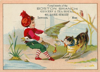 Chien essayant de tirer la patte d