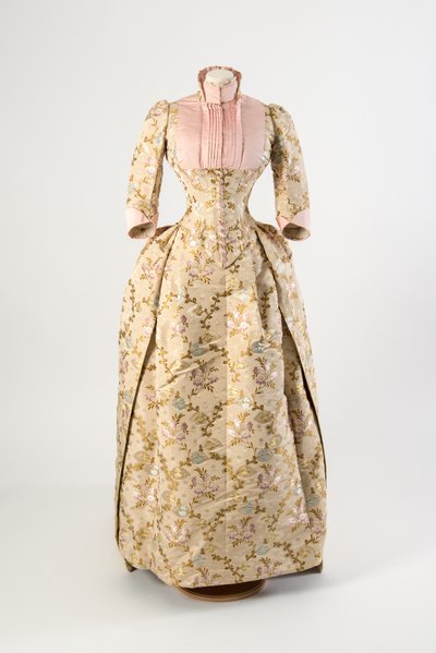 Robe en soie marron clair tissée avec un motif de fleurs mauves, bleues et jaunes et de feuilles vertes, panneau de corsage et poignets en soie côtelée rose clair - American School