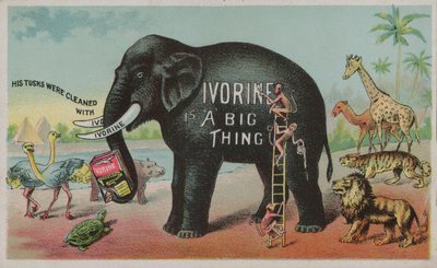 Éléphant faisant la publicité du savon Ivorine - American School