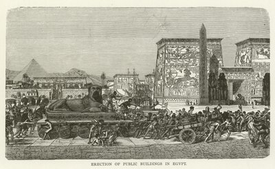 Érection de bâtiments publics en Égypte - American School