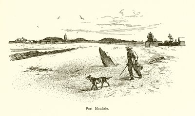 Fort Moultrie - American School