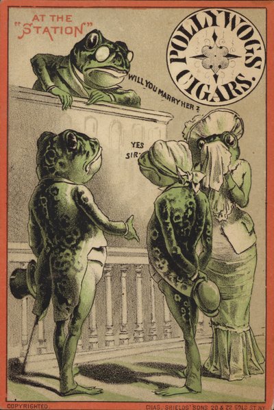 Grenouilles se mariant à la gare - American School