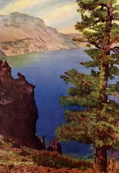 Parc national des Glaciers - American School