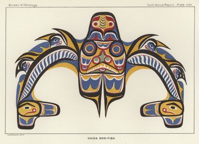 Poisson-chien Haida - American School