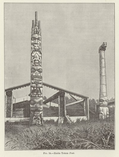 Totem Haida - American School