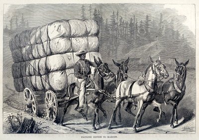 Transport de coton au marché, de Cent ans de progrès des États-Unis, pub. 1871 gravure - American School