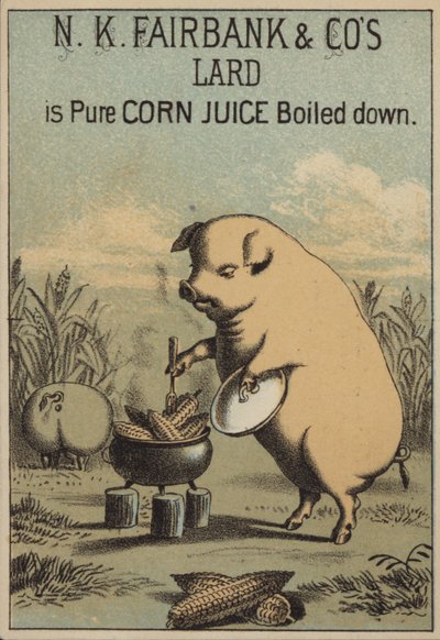 Cochon cuisinant du maïs pour faire du lard - American School