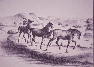 Chevaux tirant un bateau sur le canal Érié (gravure) - American School
