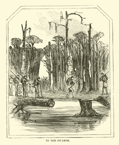Dans les marais, mars 1863 - American School