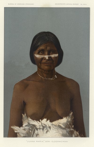 Juana Maria, aînée Seri - American School