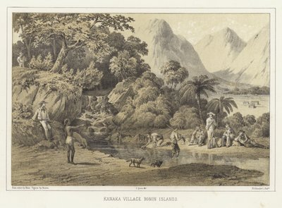 Village kanak, îles Bonin - American School