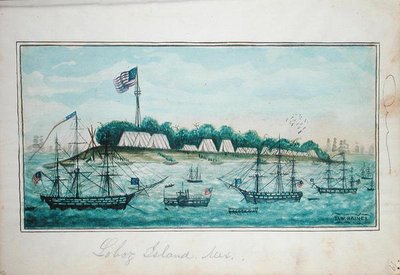 Île de Lobos, Mexique - American School