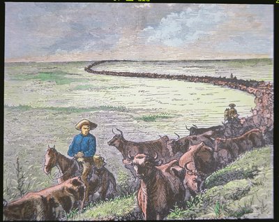 Conduite de bétail Longhorn du Texas à Abilene, Kansas, vers 1870 - American School