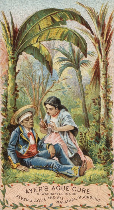 Homme avec la malaria - American School