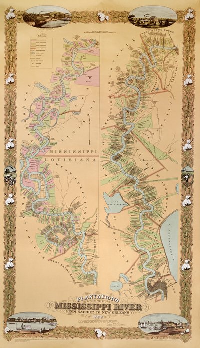 Carte représentant les plantations sur le fleuve Mississippi de Natchez à La Nouvelle-Orléans, 1858 - American School