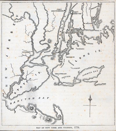 Carte de New York et des environs - American School