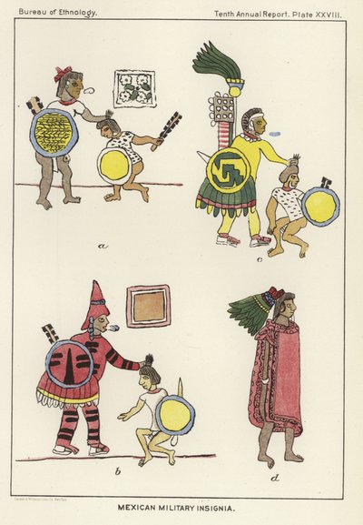 Insignes militaires mexicains - American School