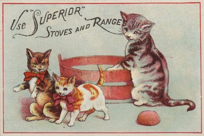 Chatte avec ses chatons - American School