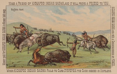 Amérindien chassant le bison - American School