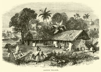 Village natal - American School
