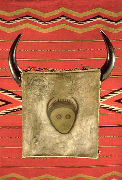 Couverture Navajo de la lune du bison, de l