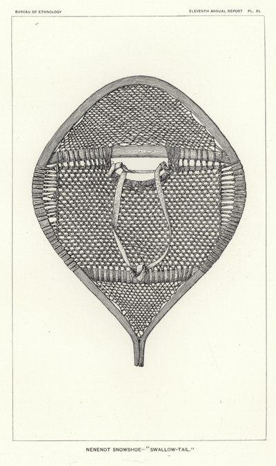 Raquette Nenenot - Queue d