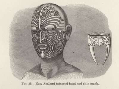 Tête tatouée et marque de menton de Nouvelle-Zélande - American School