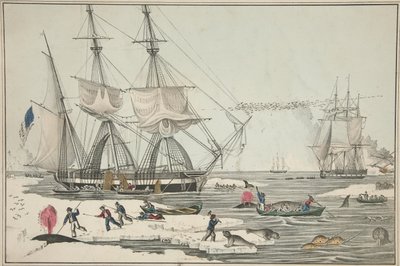 Pêche à la baleine en mer du Nord, pub. 1860 - American School