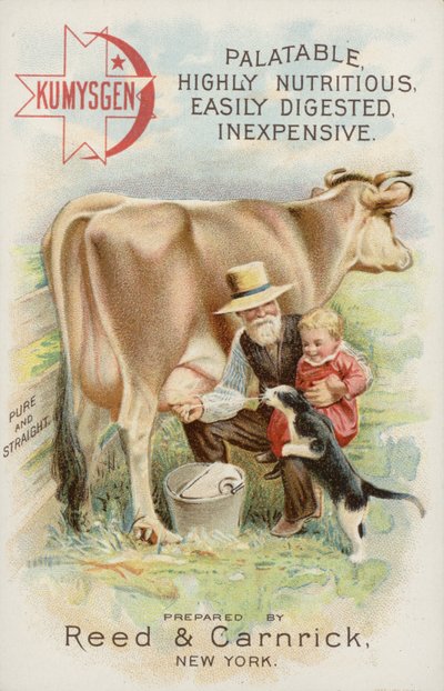 Vieil homme trayant une vache, avec un enfant et un chat - American School