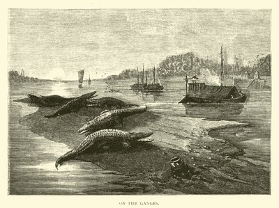 Sur le Gange - American School