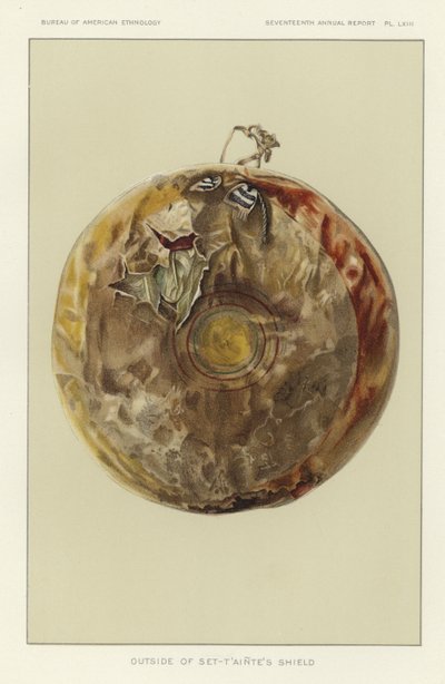 Extérieur du bouclier Set-Taintes - American School